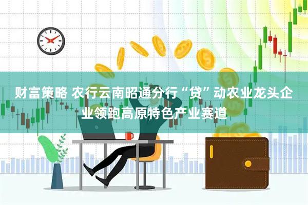 财富策略 农行云南昭通分行“贷”动农业龙头企业领跑高原特色产业赛道