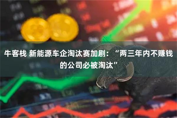 牛客栈 新能源车企淘汰赛加剧：“两三年内不赚钱的公司必被淘汰”