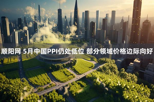 顺阳网 5月中国PPI仍处低位 部分领域价格边际向好