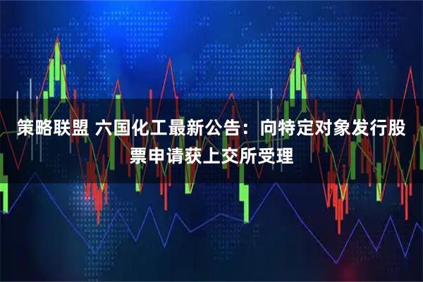 策略联盟 六国化工最新公告：向特定对象发行股票申请获上交所受理