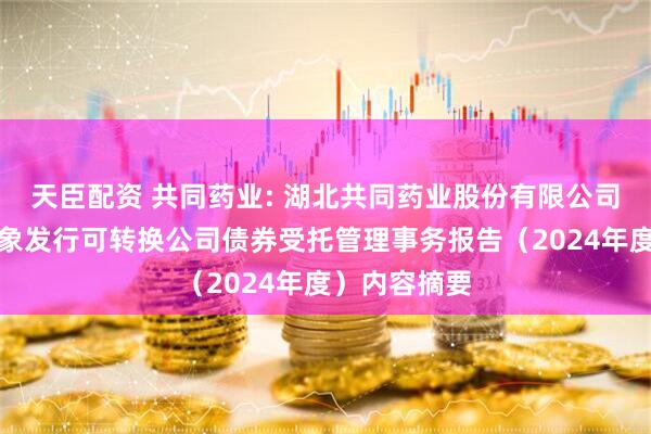 天臣配资 共同药业: 湖北共同药业股份有限公司向不特定对象发行可转换公司债券受托管理事务报告（2024年度）内容摘要