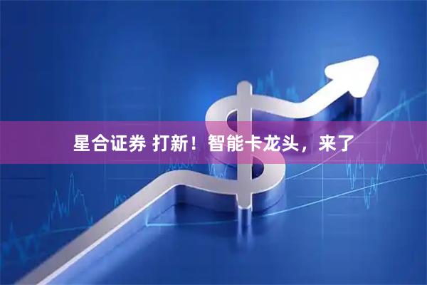 星合证券 打新！智能卡龙头，来了