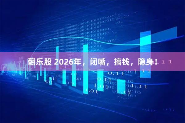 翻乐股 2026年，闭嘴，搞钱，隐身！