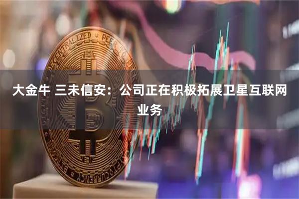 大金牛 三未信安：公司正在积极拓展卫星互联网业务