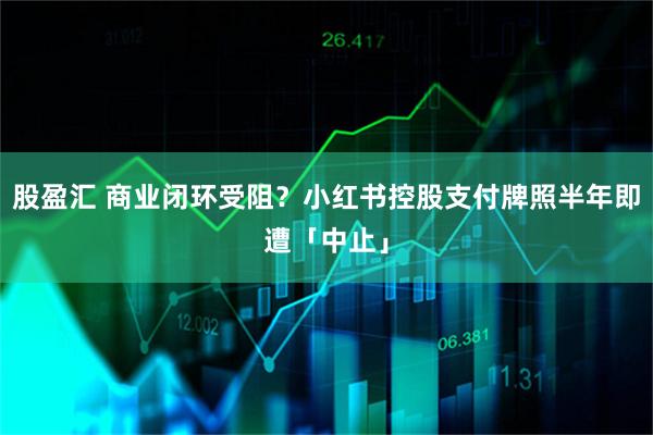 股盈汇 商业闭环受阻？小红书控股支付牌照半年即遭「中止」